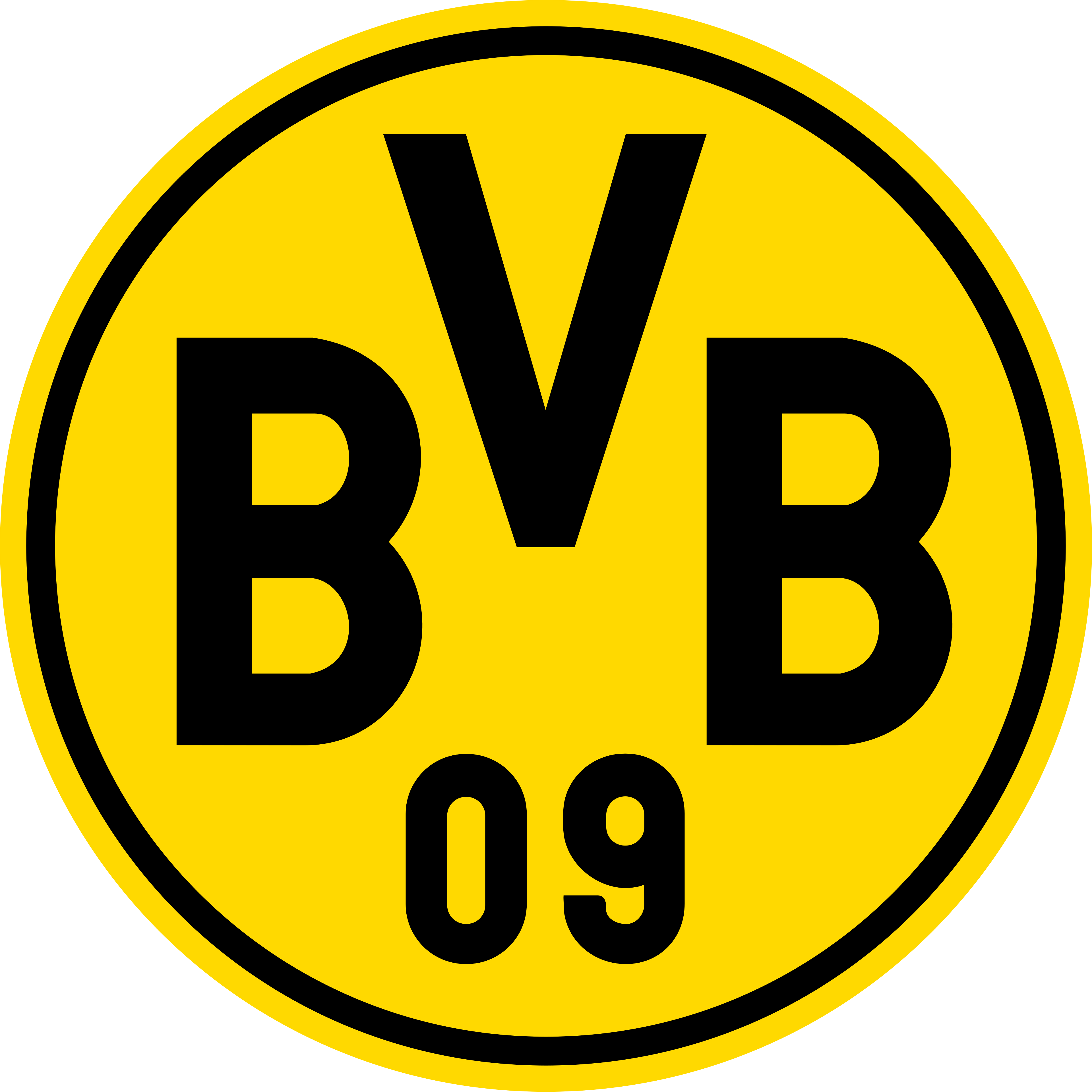 BVB 09